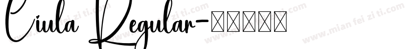 Ciula Regular字体转换
